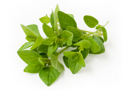 Oregano to help relieve digestive problems
