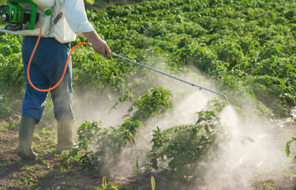 How to beat the effects of pesticides