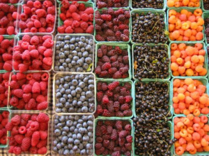 How important is fiber for GUT health?